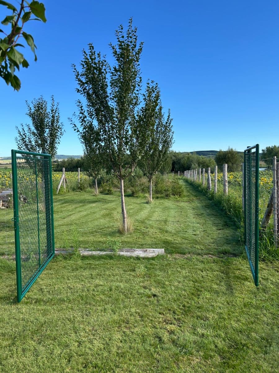 Predaj pozemku 2.899 m², Dolní Němčí, Zlínský kraj Predaj pozemku 2.899 m², Dolní Němčí, Zlínský kraj