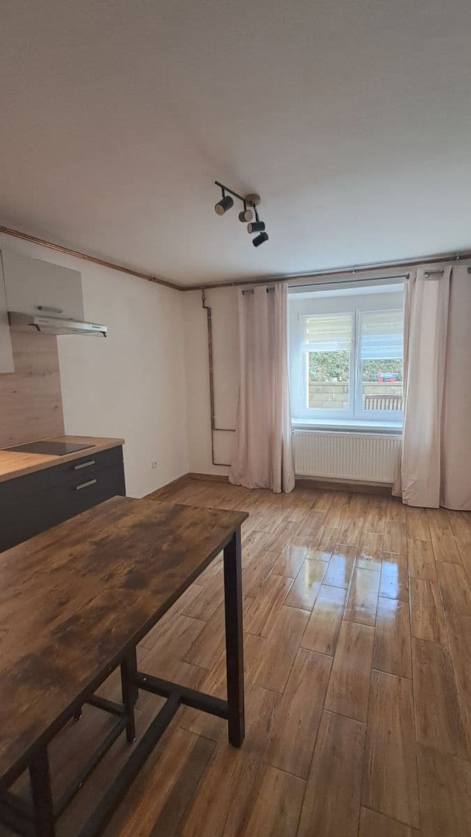 Prenájom bytu 1-izbový 17 m², Na Balkáně, Praha, Praha Prenájom bytu 1-izbový 17 m², Na Balkáně, Praha, Praha