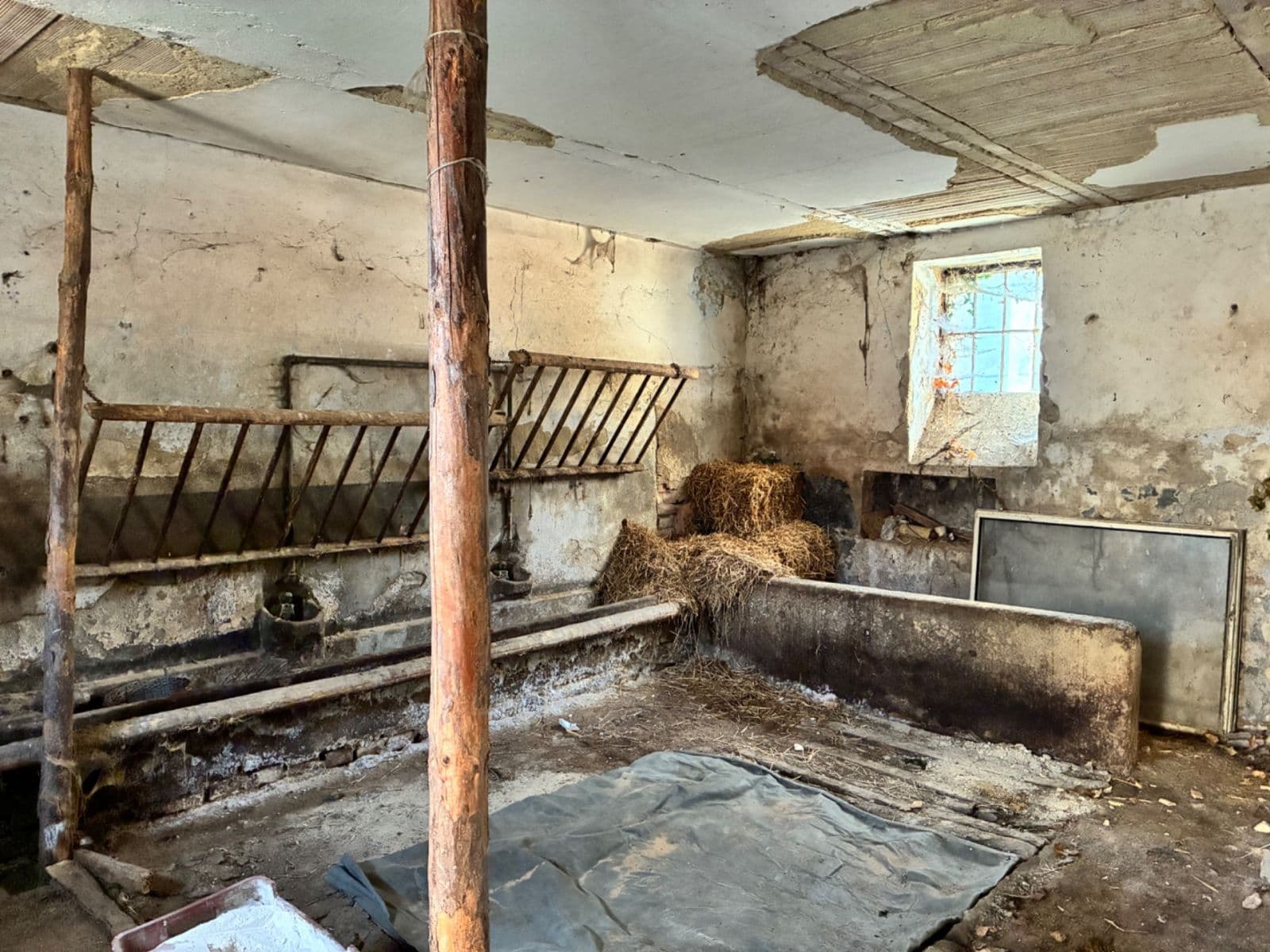 Predaj domu 300 m², pozemek 917 m², Dobříkov, Pardubický kraj Predaj domu 300 m², pozemek 917 m², Dobříkov, Pardubický kraj