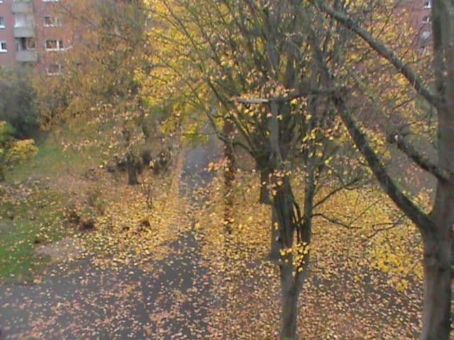 Prenájom bytu 3-izbový 80 m², Unstrutstrasse 12, Braunschweig, Dolné Sasko Prenájom bytu 3-izbový 80 m², Unstrutstrasse 12, Braunschweig, Dolné Sasko