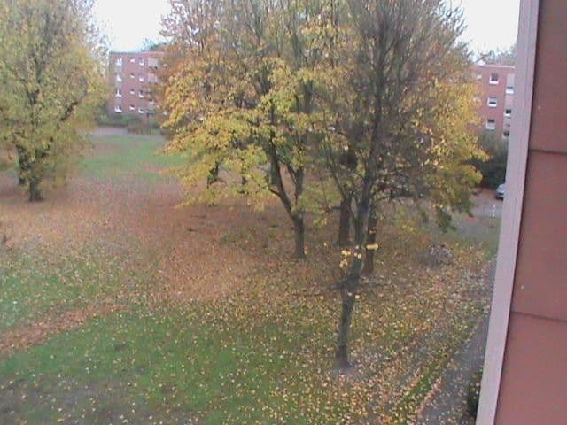 Prenájom bytu 3-izbový 80 m², Unstrutstrasse 12, Braunschweig, Dolné Sasko Prenájom bytu 3-izbový 80 m², Unstrutstrasse 12, Braunschweig, Dolné Sasko