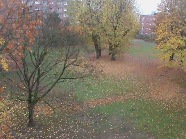 Prenájom bytu 3-izbový 80 m², Unstrutstrasse 12, Braunschweig, Dolné Sasko Prenájom bytu 3-izbový 80 m², Unstrutstrasse 12, Braunschweig, Dolné Sasko