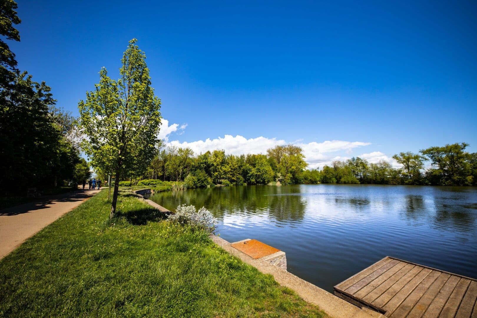 Predaj bytu 2-izbový 45 m², Okružní, Vestec, Středočeský kraj Predaj bytu 2-izbový 45 m², Okružní, Vestec, Středočeský kraj