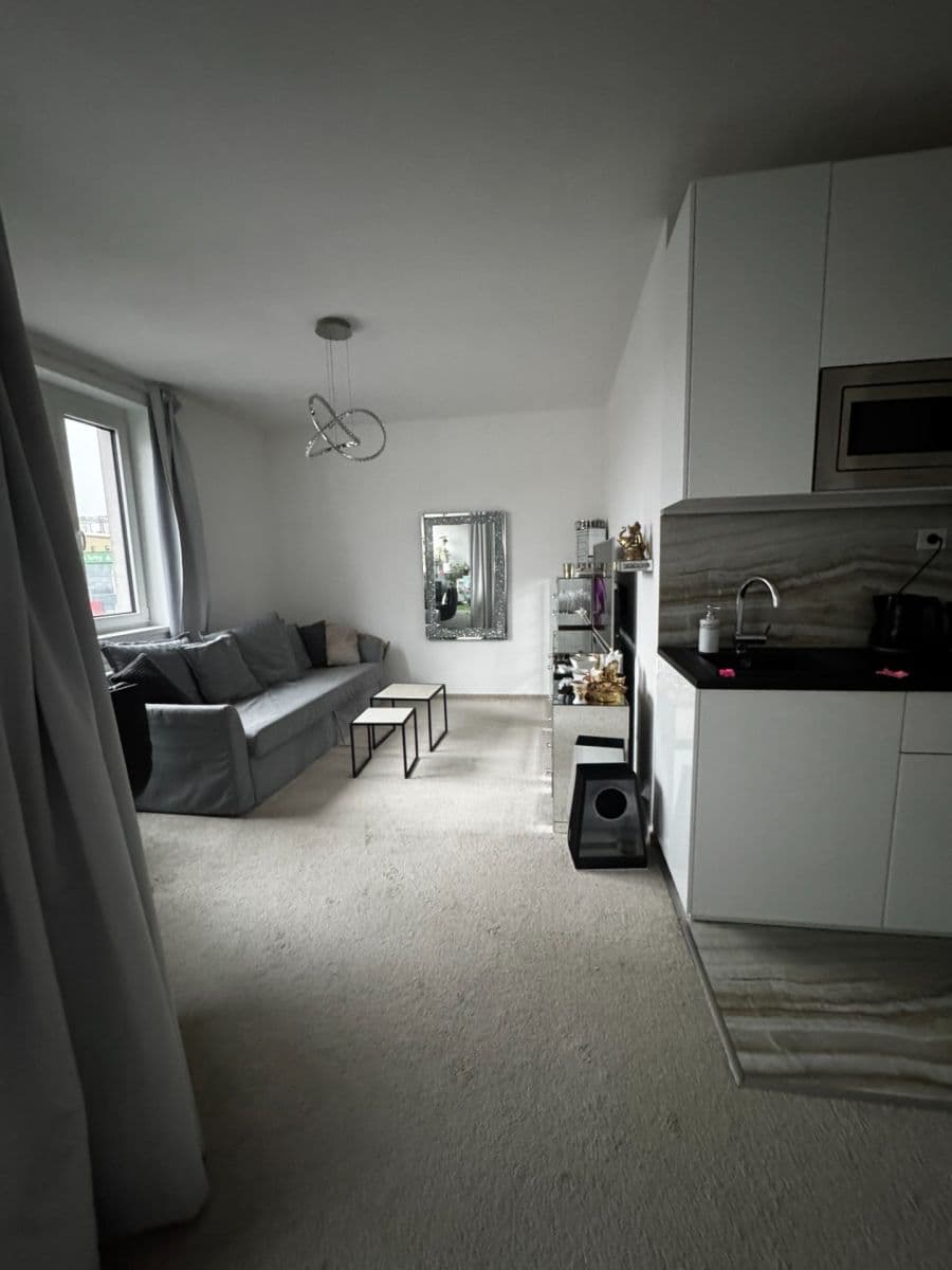 Prenájom bytu 1-izbový 46 m², Poděbradská, Praha, Praha Prenájom bytu 1-izbový 46 m², Poděbradská, Praha, Praha