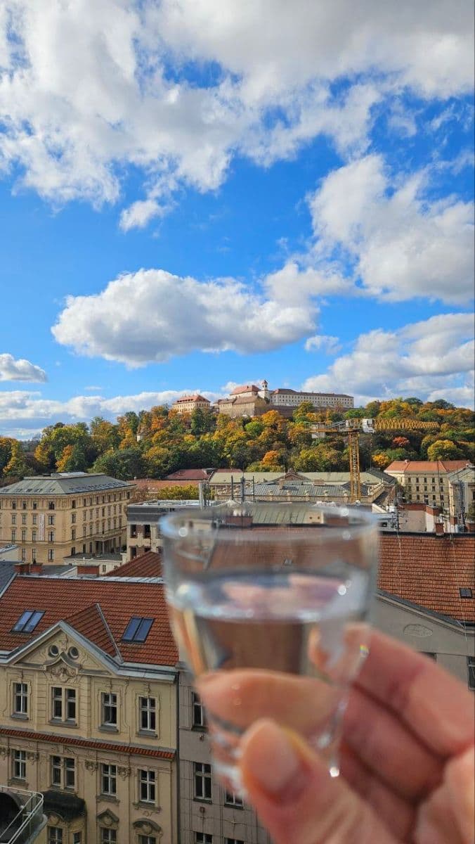 Prenájom nebytového priestoru 150 m², Česká, Brno, Jihomoravský kraj Prenájom nebytového priestoru 150 m², Česká, Brno, Jihomoravský kraj