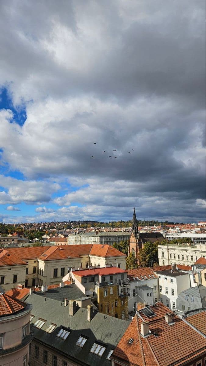 Prenájom nebytového priestoru 150 m², Česká, Brno, Jihomoravský kraj Prenájom nebytového priestoru 150 m², Česká, Brno, Jihomoravský kraj