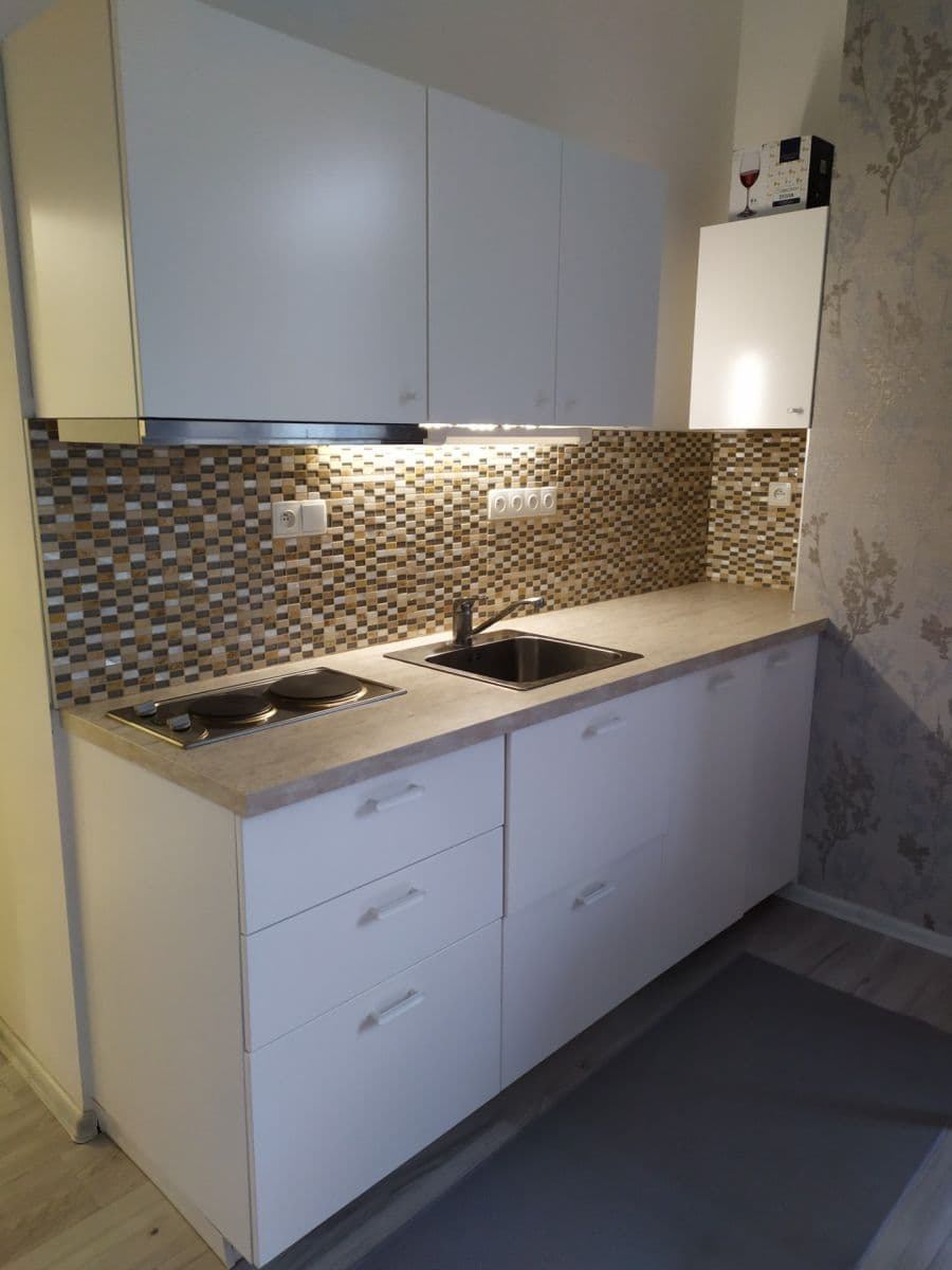 Prenájom bytu 1-izbový 32 m², Slepá, Milovice, Středočeský kraj Prenájom bytu 1-izbový 32 m², Slepá, Milovice, Středočeský kraj