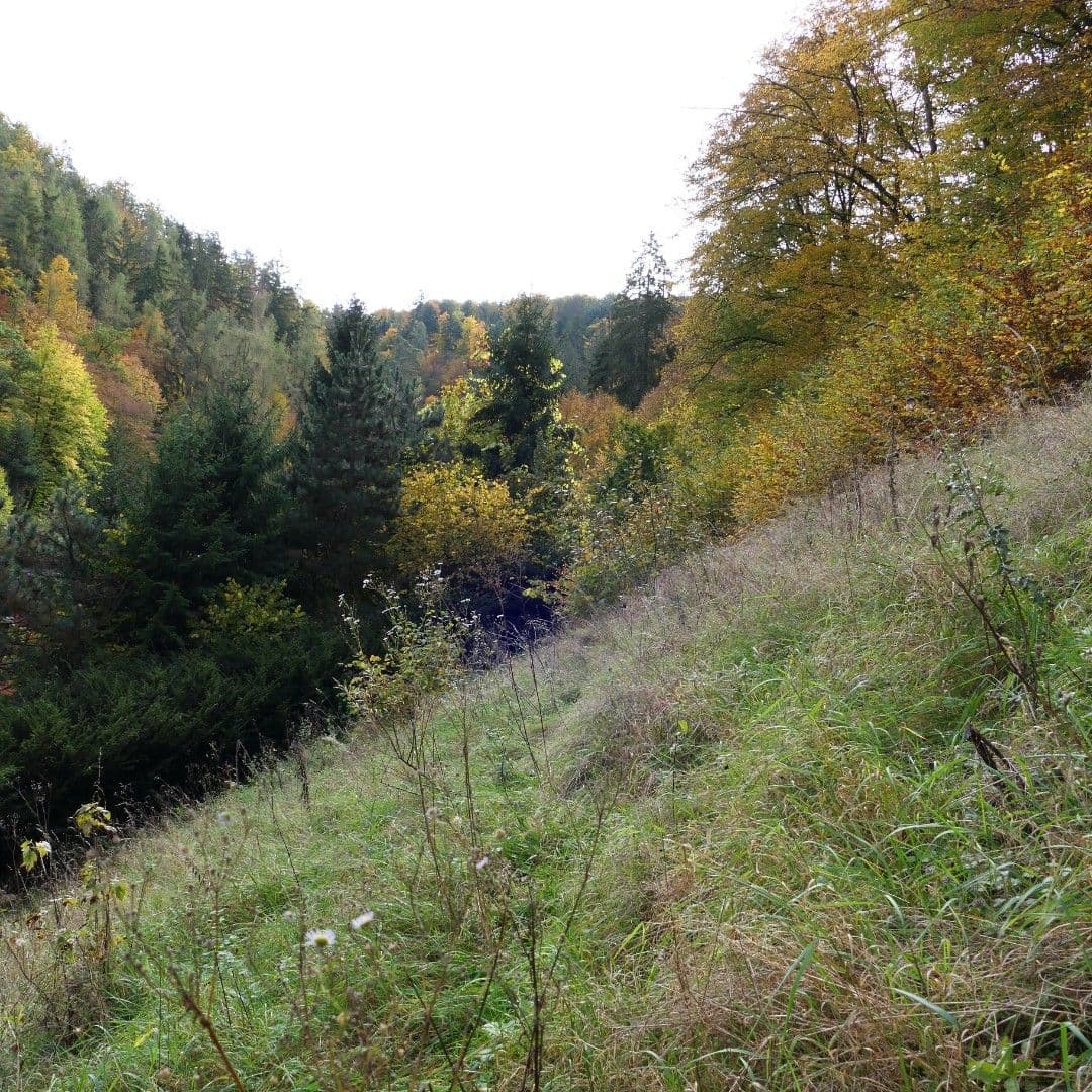 Predaj domu 55 m², pozemek 2.200 m², Zadní konce, Štěchovice, Středočeský kraj Predaj domu 55 m², pozemek 2.200 m², Zadní konce, Štěchovice, Středočeský kraj