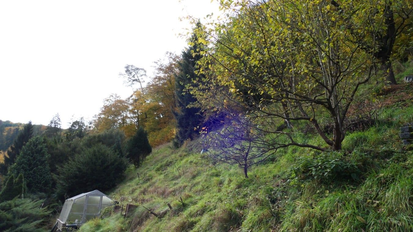 Predaj domu 55 m², pozemek 2.200 m², Zadní konce, Štěchovice, Středočeský kraj Predaj domu 55 m², pozemek 2.200 m², Zadní konce, Štěchovice, Středočeský kraj