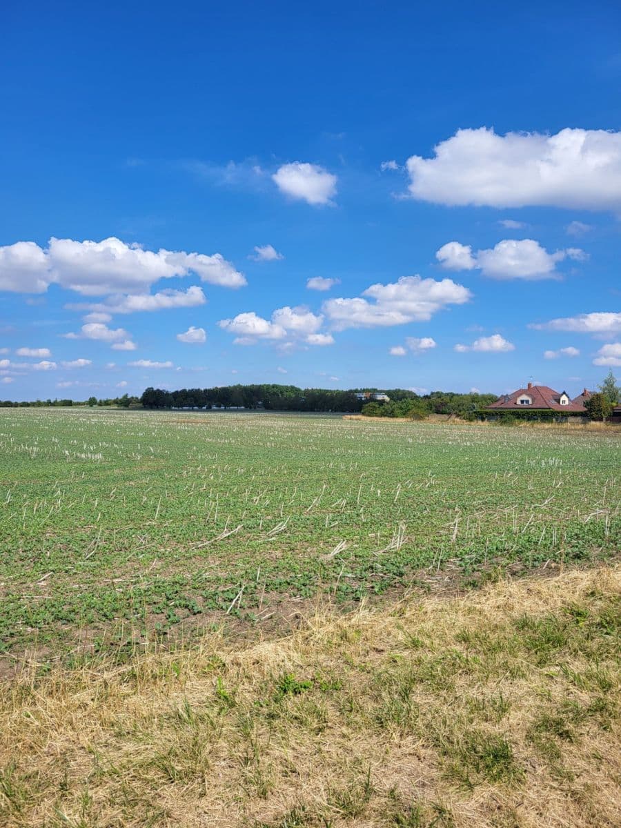 Predaj pozemku 4.212 m², K Dubečku, Praha, Praha Predaj pozemku 4.212 m², K Dubečku, Praha, Praha