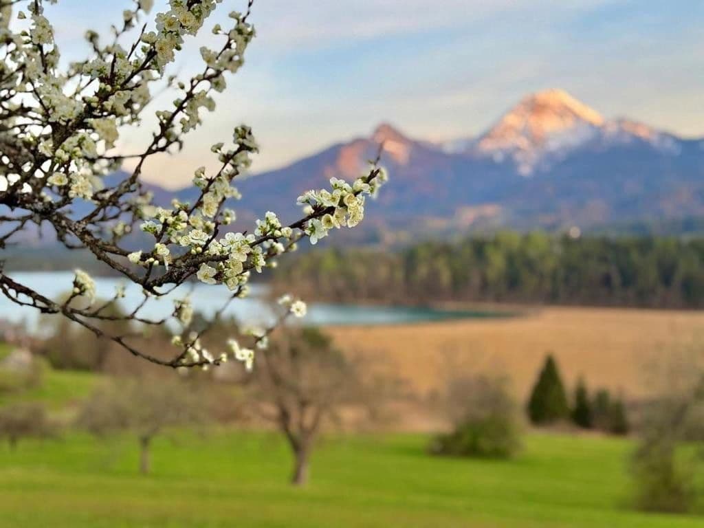 Predaj bytu 1-izbový 22 m², Faak am See, Korutánsko Predaj bytu 1-izbový 22 m², Faak am See, Korutánsko