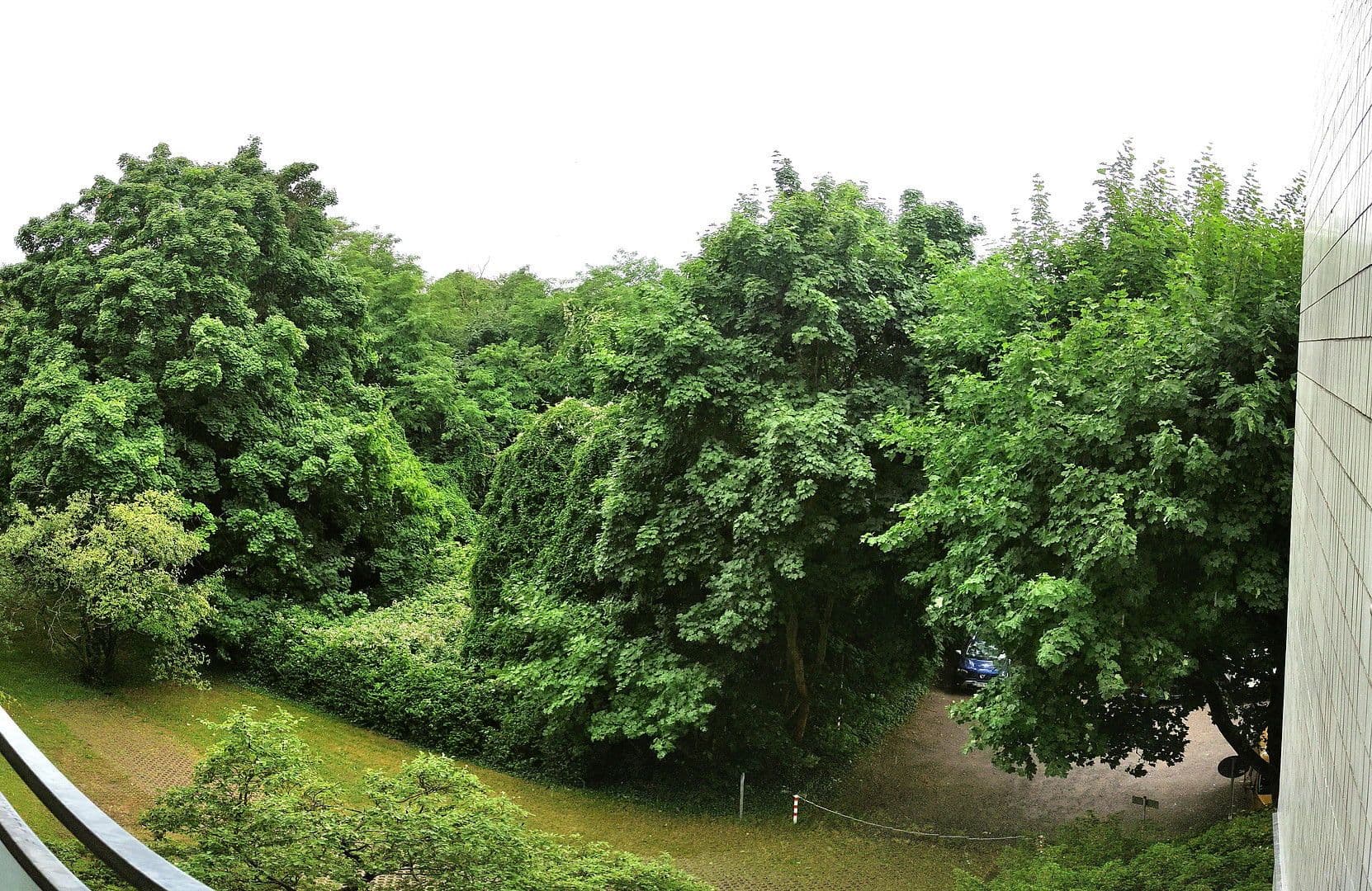 Predaj bytu 3-izbový 94 m², Eugen-Richter-Str. 159, Karlsruhe, Bádensko-Wurttembersko Predaj bytu 3-izbový 94 m², Eugen-Richter-Str. 159, Karlsruhe, Bádensko-Wurttembersko