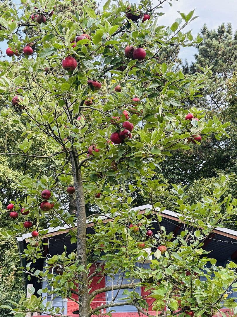 Predaj pozemku 701 m², Lohrberg, Seckbach, Frankfurt am Main, Hesensko Predaj pozemku 701 m², Lohrberg, Seckbach, Frankfurt am Main, Hesensko