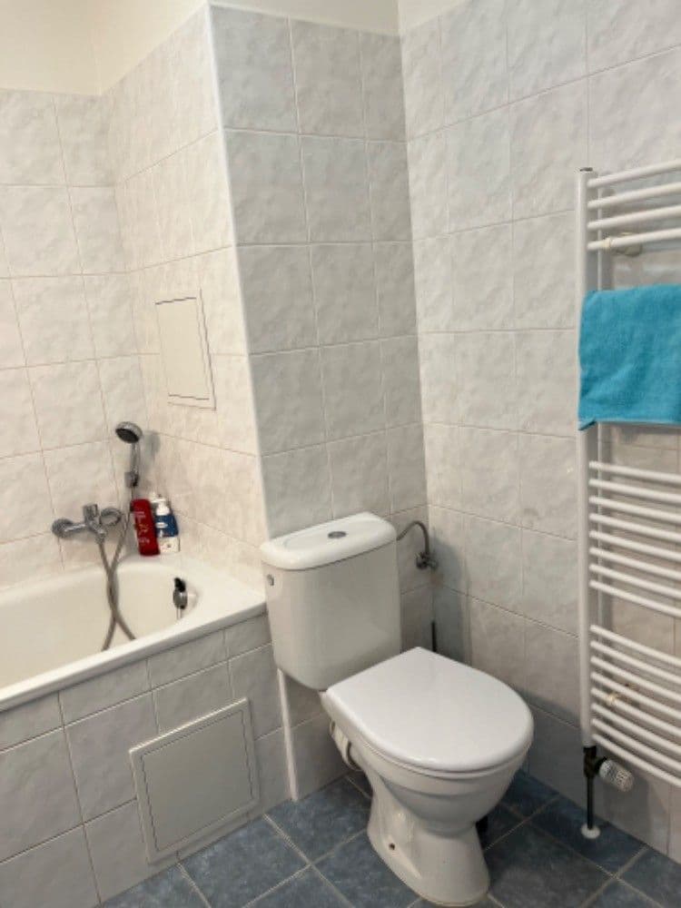 Prenájom bytu 1-izbový 35 m², Říční, Nymburk, Středočeský kraj Prenájom bytu 1-izbový 35 m², Říční, Nymburk, Středočeský kraj