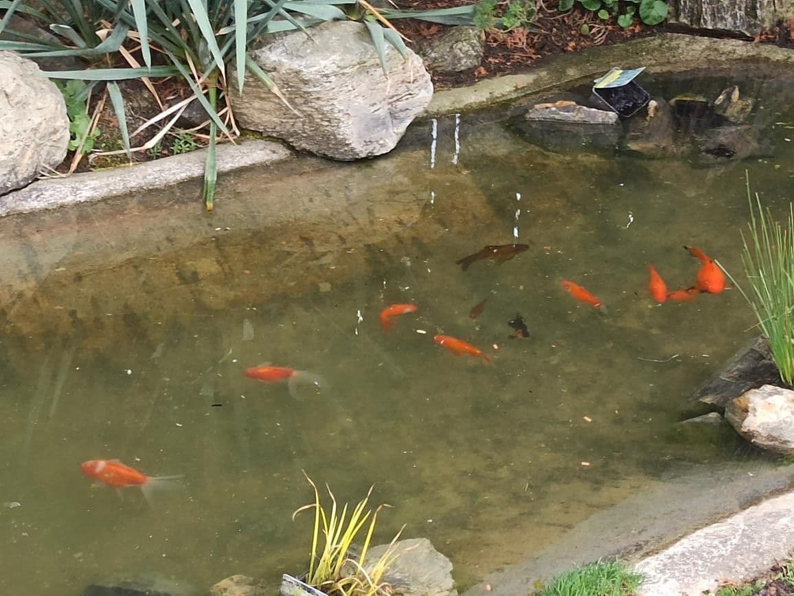 Predaj domu 127 m², pozemek 1.350 m², Kralupská, Statenice, Středočeský kraj Predaj domu 127 m², pozemek 1.350 m², Kralupská, Statenice, Středočeský kraj