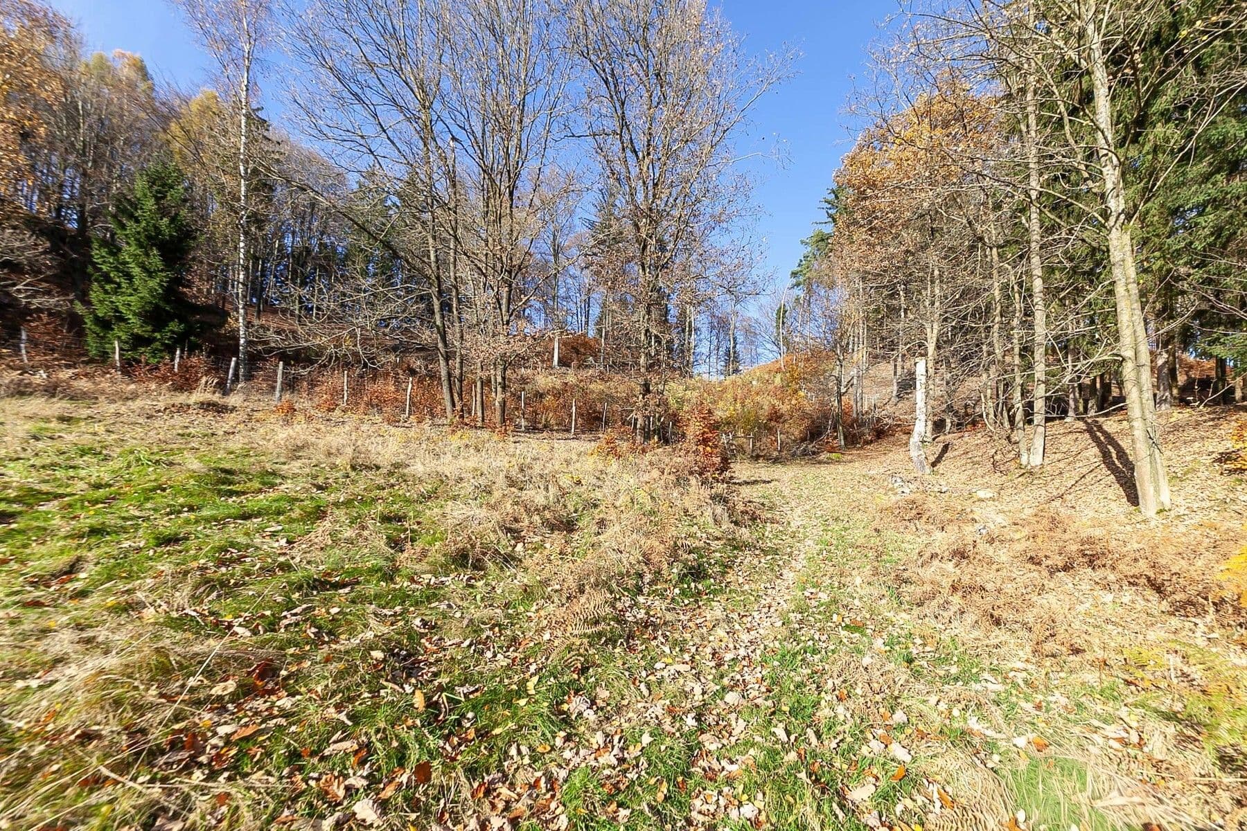 Predaj pozemku 3.373 m², Prysk, Liberecký kraj Predaj pozemku 3.373 m², Prysk, Liberecký kraj