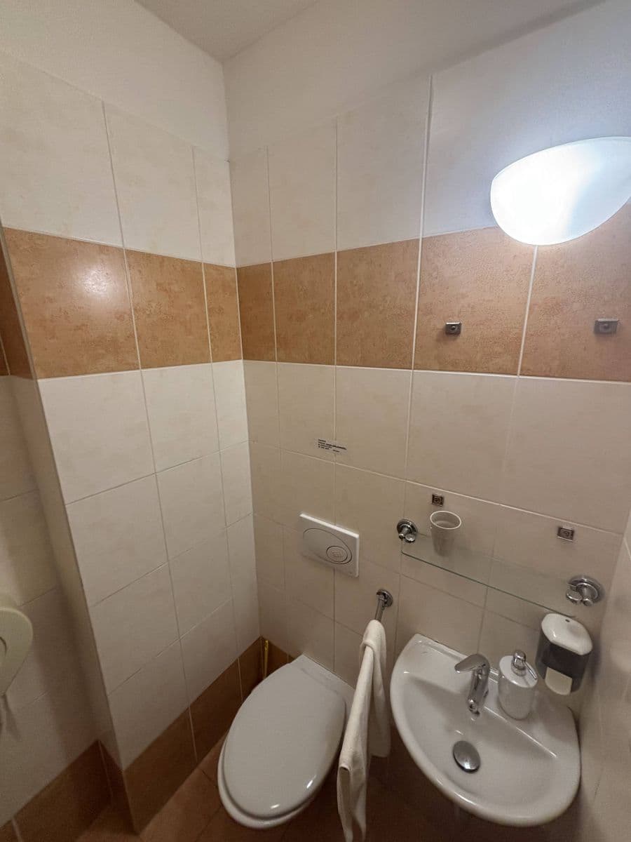 Prenájom bytu 300 m², Lublaňská, Praha, Praha Prenájom bytu 300 m², Lublaňská, Praha, Praha