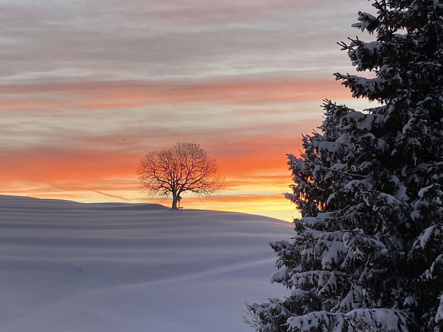 Predaj bytu 4-izbový 106 m², Mühlhalde 1, Missen-Wilhams, Bavorsko Predaj bytu 4-izbový 106 m², Mühlhalde 1, Missen-Wilhams, Bavorsko
