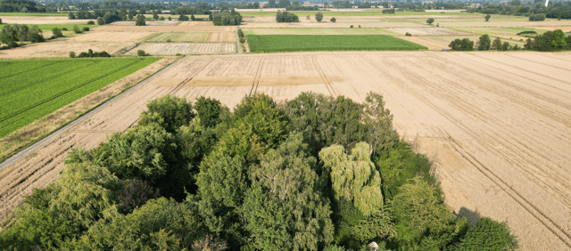 Predaj pozemku 5.696 m², Hauptstr.103, Beckedorf, Dolné Sasko Predaj pozemku 5.696 m², Hauptstr.103, Beckedorf, Dolné Sasko