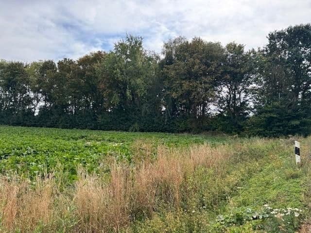 Predaj pozemku 5.696 m², Hauptstr.103, Beckedorf, Dolné Sasko Predaj pozemku 5.696 m², Hauptstr.103, Beckedorf, Dolné Sasko