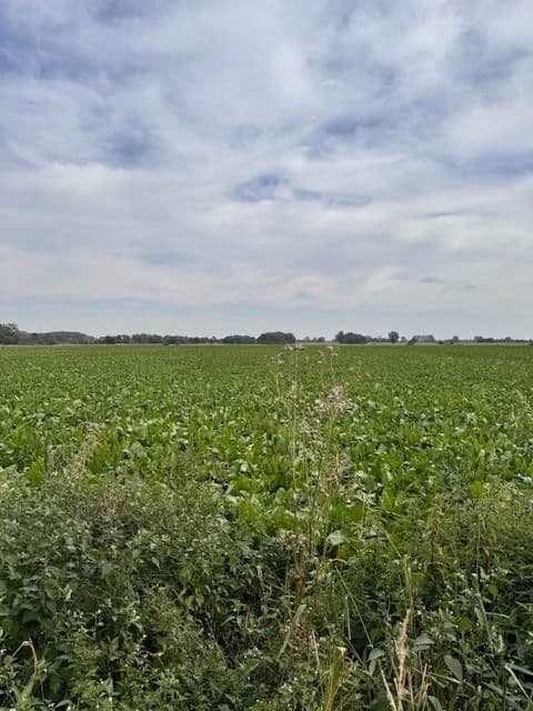 Predaj pozemku 5.696 m², Hauptstr.103, Beckedorf, Dolné Sasko Predaj pozemku 5.696 m², Hauptstr.103, Beckedorf, Dolné Sasko