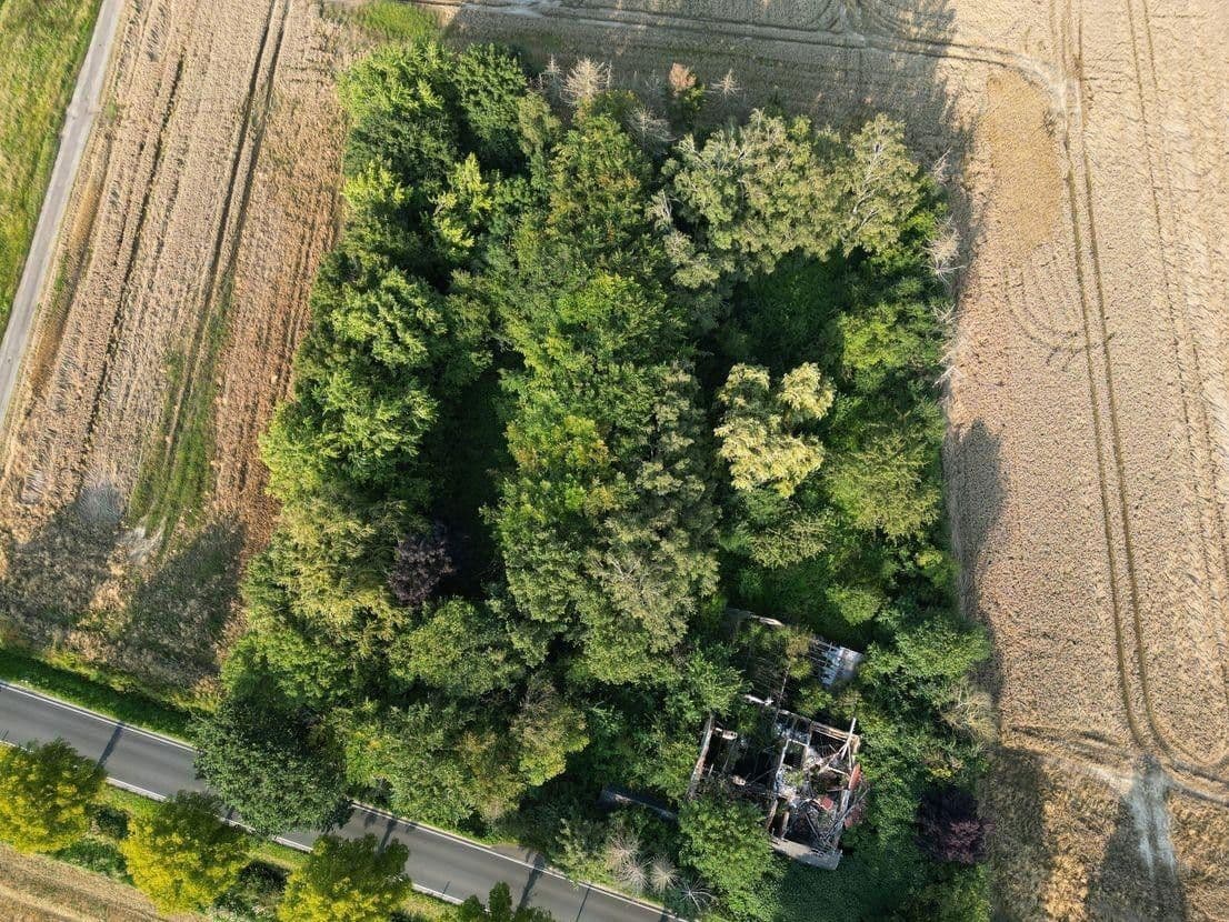 Predaj pozemku 5.696 m², Hauptstr.103, Beckedorf, Dolné Sasko Predaj pozemku 5.696 m², Hauptstr.103, Beckedorf, Dolné Sasko