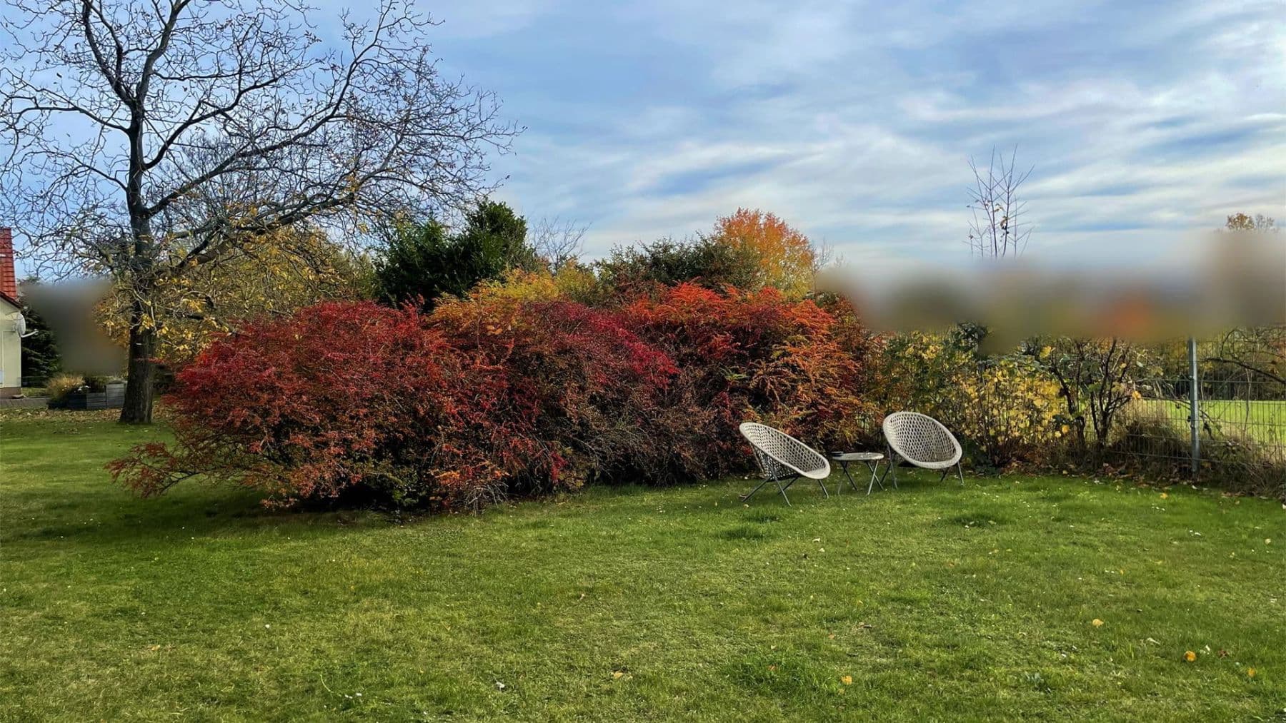 Predaj domu 329 m², pozemek 2.770 m², Holländerweg 46, Döbeln, Sasko Predaj domu 329 m², pozemek 2.770 m², Holländerweg 46, Döbeln, Sasko