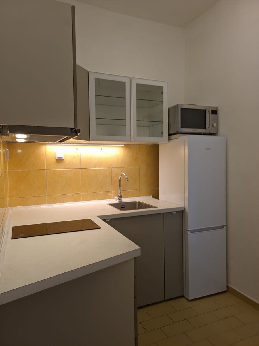 Prenájom bytu 1-izbový 27 m², Jilmová, Praha, Praha Prenájom bytu 1-izbový 27 m², Jilmová, Praha, Praha