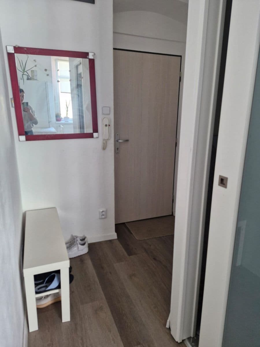 Prenájom bytu 1-izbový 32 m², Houškova, Plzeň, Plzeňský kraj Prenájom bytu 1-izbový 32 m², Houškova, Plzeň, Plzeňský kraj