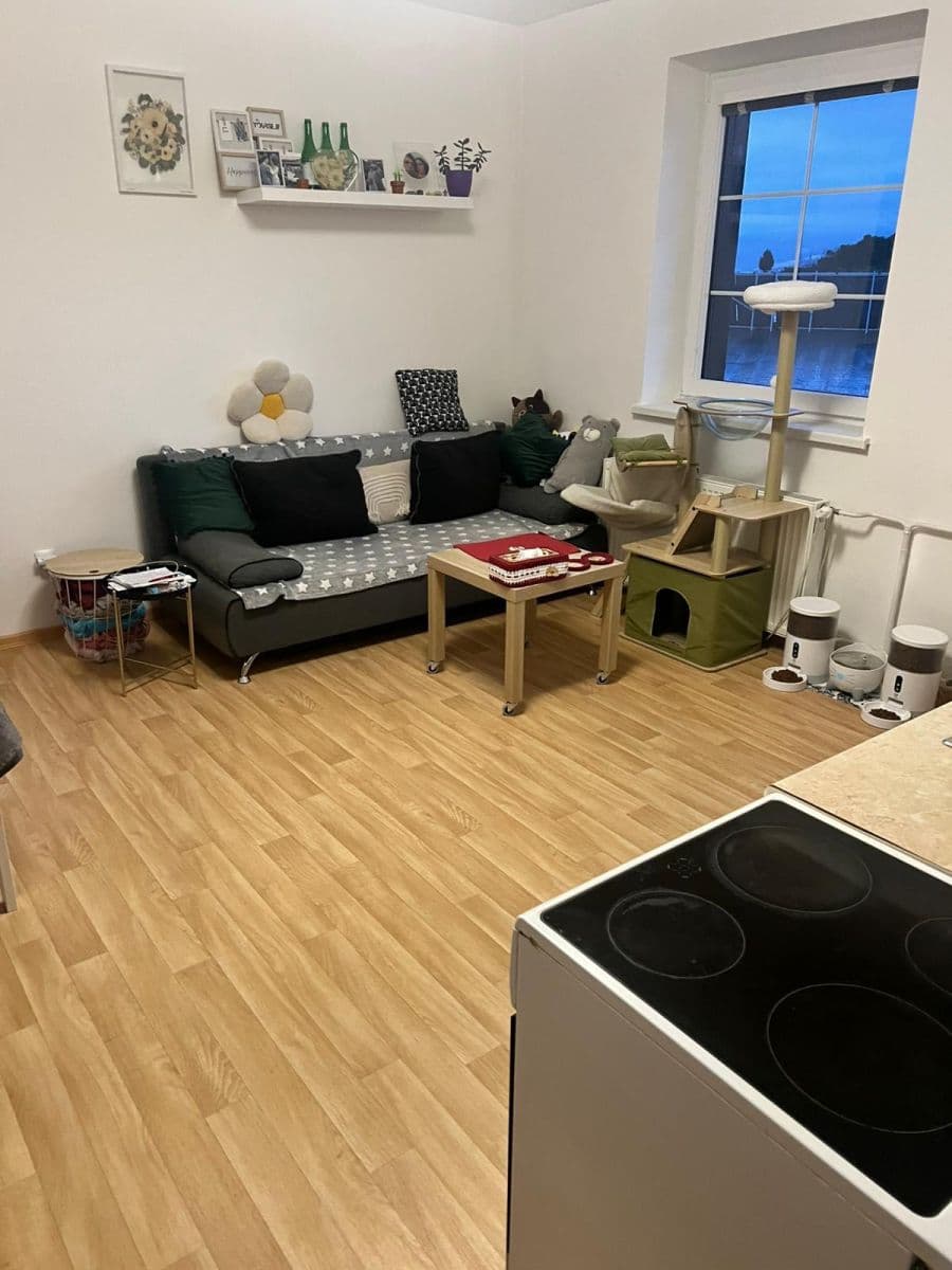 Prenájom bytu 2-izbový 52 m², Ke Sluji, Liberec, Liberecký kraj Prenájom bytu 2-izbový 52 m², Ke Sluji, Liberec, Liberecký kraj