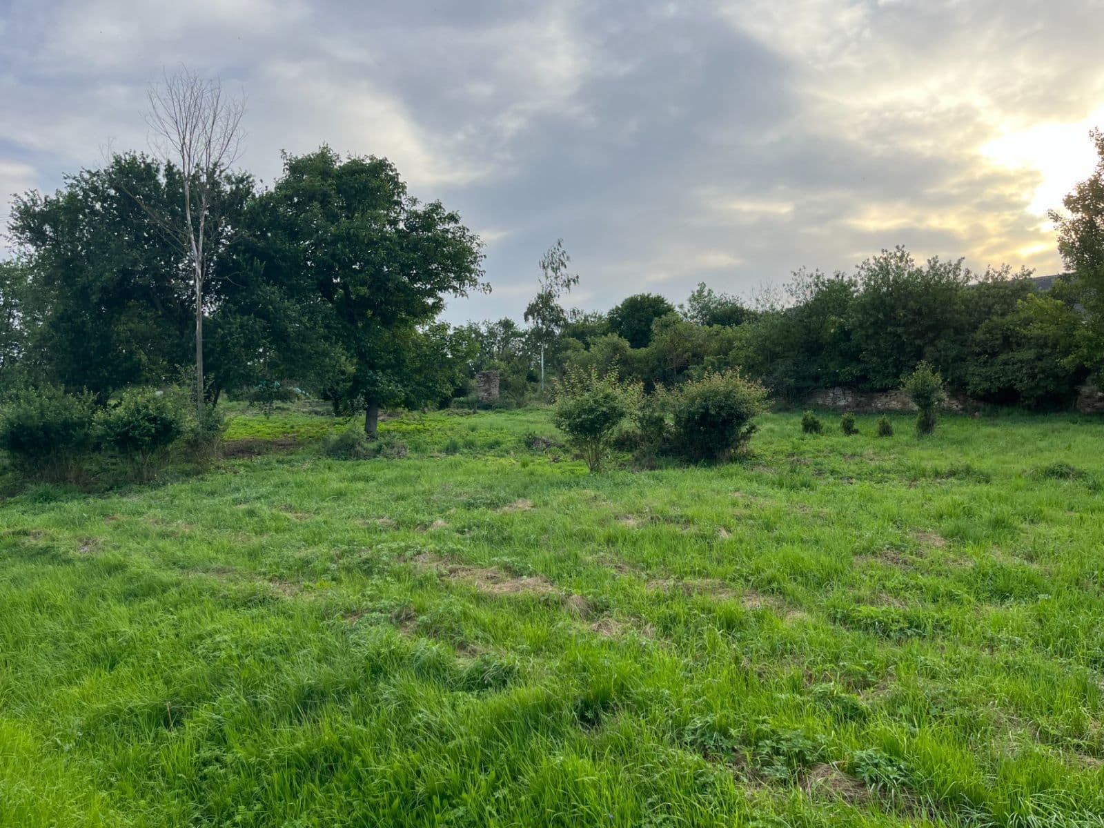 Predaj pozemku 1.114 m², Dešná, Jihočeský kraj Predaj pozemku 1.114 m², Dešná, Jihočeský kraj