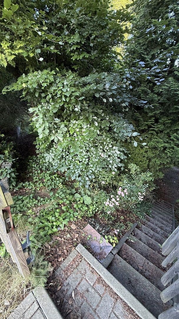 Predaj domu 130 m², pozemek 535 m², Aue-Bad Schlema, Sasko Predaj domu 130 m², pozemek 535 m², Aue-Bad Schlema, Sasko