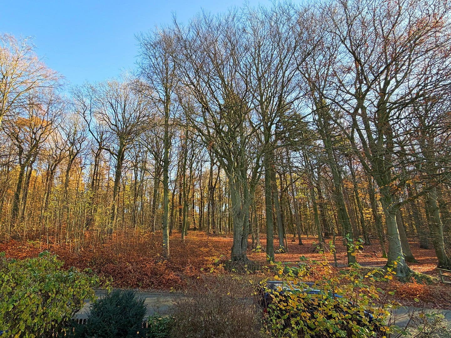 Predaj domu 131 m², pozemek 521 m², Höpenweg 9, Seevetal, Dolné Sasko Predaj domu 131 m², pozemek 521 m², Höpenweg 9, Seevetal, Dolné Sasko