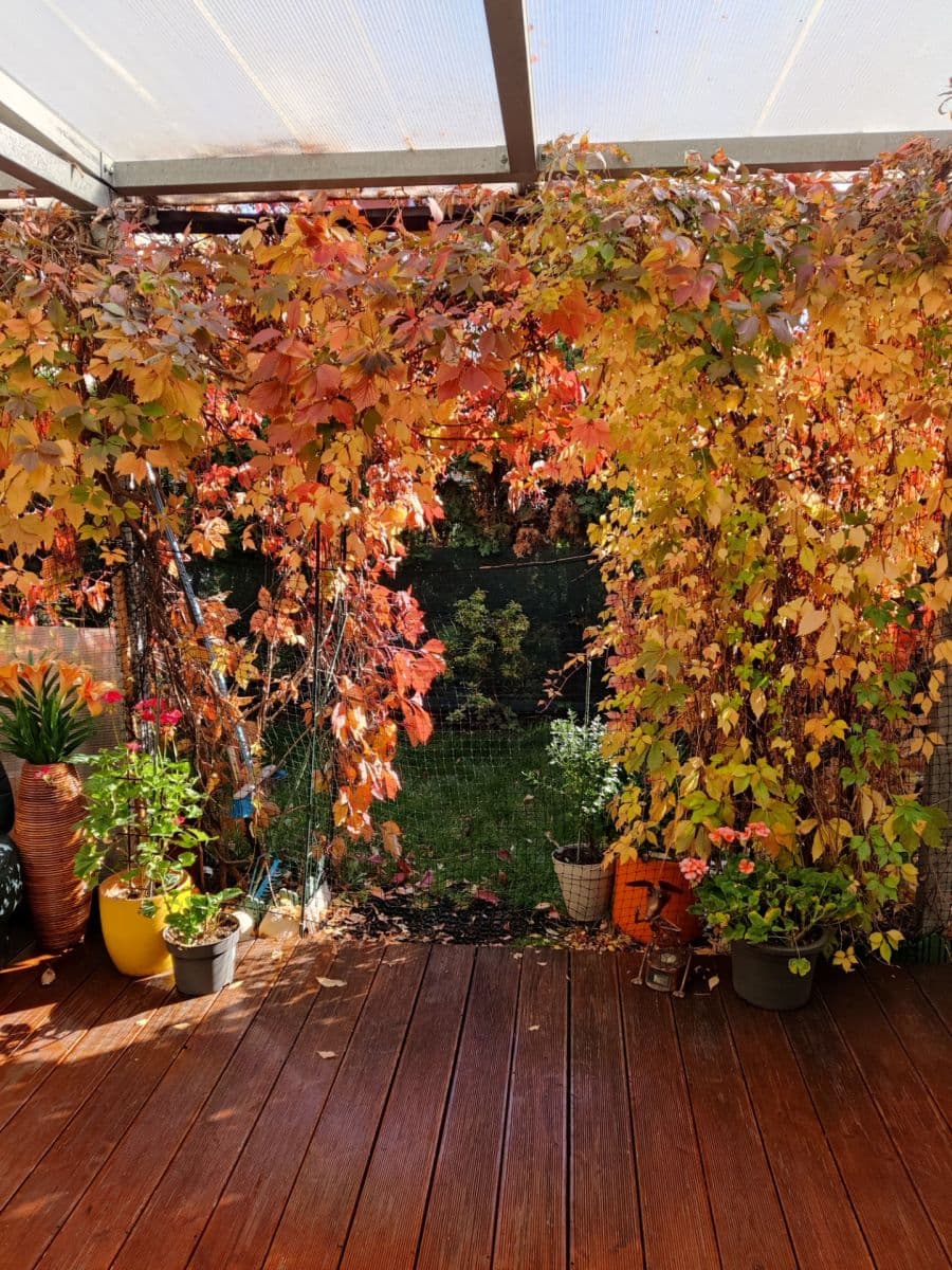 Predaj bytu 2-izbový 120 m², Pečárková, Praha, Praha Predaj bytu 2-izbový 120 m², Pečárková, Praha, Praha