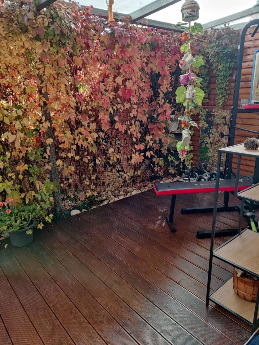 Predaj bytu 2-izbový 120 m², Pečárková, Praha, Praha Predaj bytu 2-izbový 120 m², Pečárková, Praha, Praha