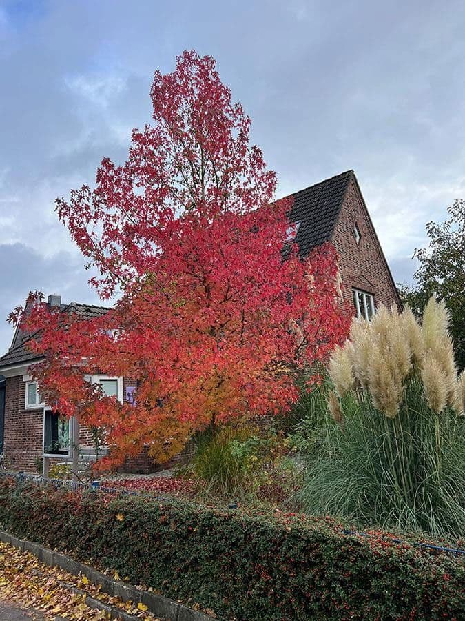 Predaj domu 258 m², pozemek 653 m², Hamburg, Hamburg Predaj domu 258 m², pozemek 653 m², Hamburg, Hamburg