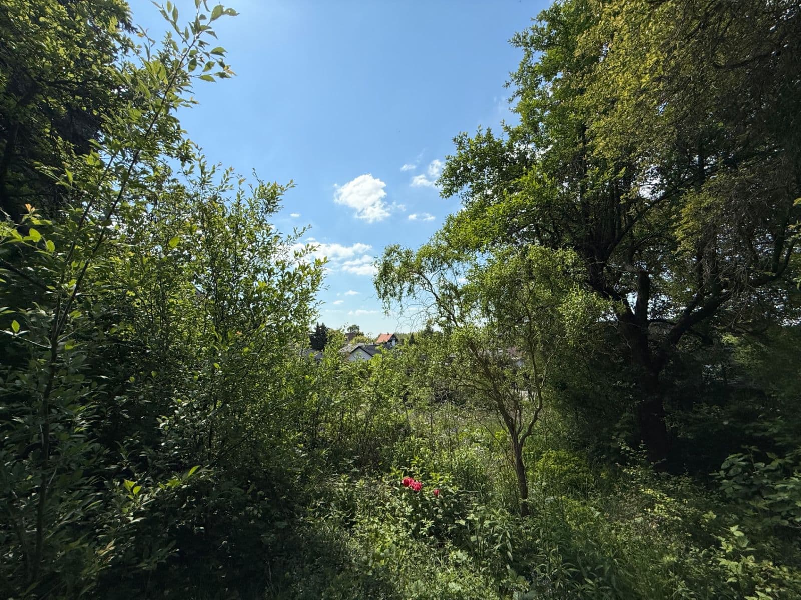 Predaj pozemku 1.016 m², Vlnitá, Jílové u Prahy, Středočeský kraj Predaj pozemku 1.016 m², Vlnitá, Jílové u Prahy, Středočeský kraj