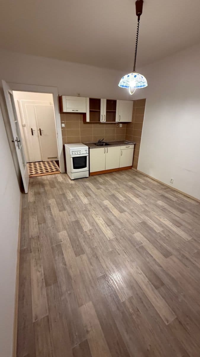 Prenájom bytu 1-izbový 47 m², Havlíčkova, Plzeň, Plzeňský kraj Prenájom bytu 1-izbový 47 m², Havlíčkova, Plzeň, Plzeňský kraj