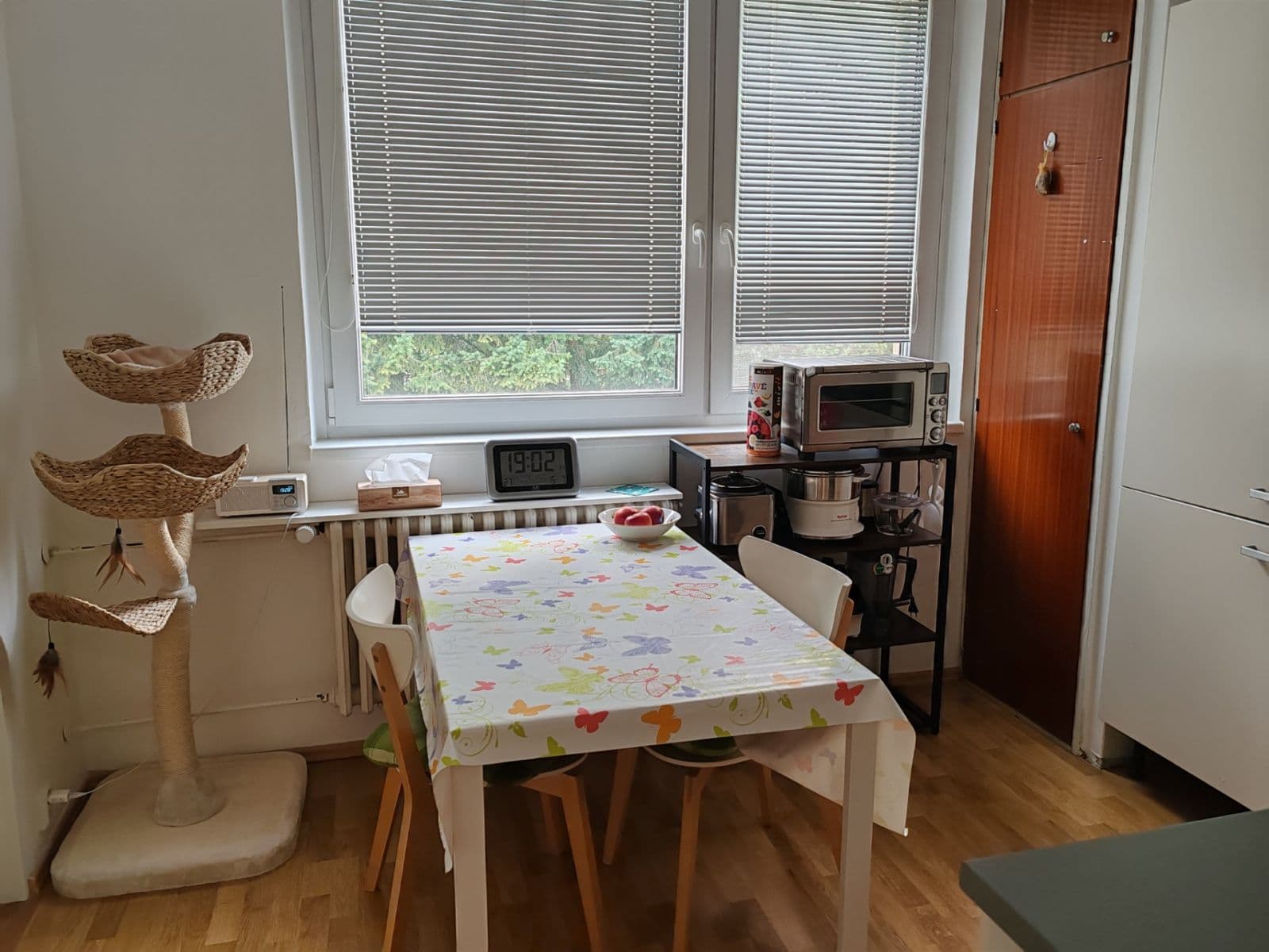 Prenájom bytu 1-izbový 34 m², Musorgského, Brno, Jihomoravský kraj Prenájom bytu 1-izbový 34 m², Musorgského, Brno, Jihomoravský kraj