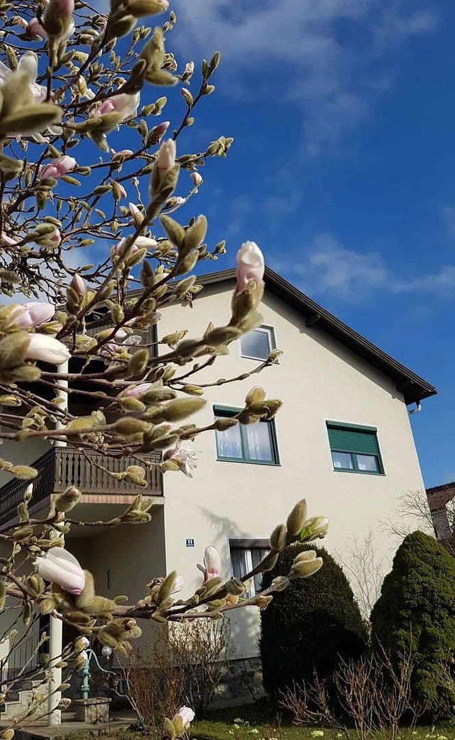 Predaj domu 143 m², pozemek 539 m², Pinkafeld, Burgenland Predaj domu 143 m², pozemek 539 m², Pinkafeld, Burgenland