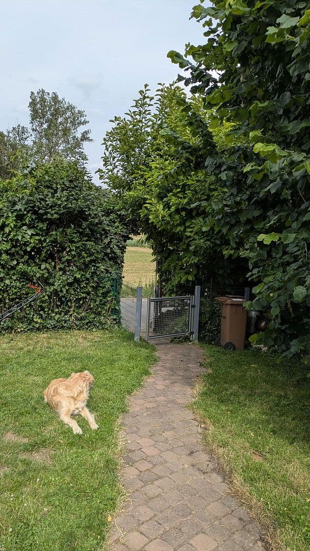 Predaj domu 100 m², pozemek 340 m², Hammersbach, Hesensko Predaj domu 100 m², pozemek 340 m², Hammersbach, Hesensko