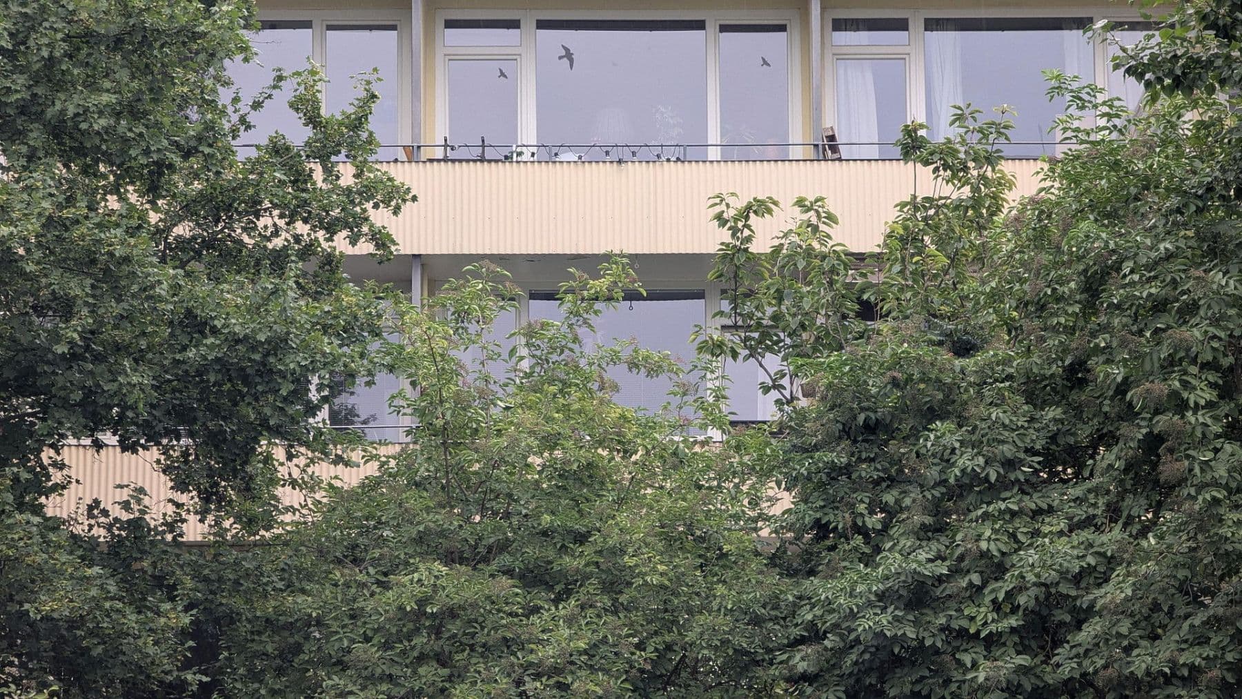 Predaj bytu 2-izbový 53 m², Solinger Str. 1, Berlin, Berlín Predaj bytu 2-izbový 53 m², Solinger Str. 1, Berlin, Berlín