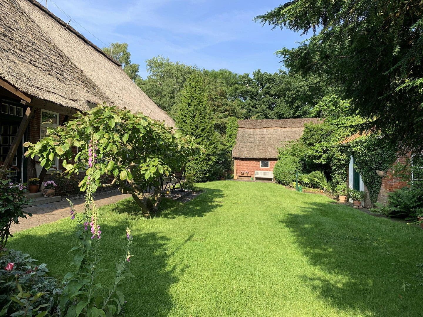 Predaj domu 350 m², pozemek 6.000 m², Hagen im Bremischen, Dolné Sasko Predaj domu 350 m², pozemek 6.000 m², Hagen im Bremischen, Dolné Sasko