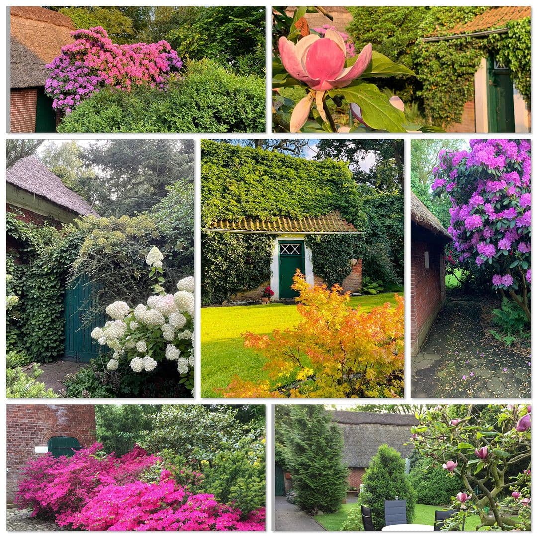 Predaj domu 350 m², pozemek 6.000 m², Hagen im Bremischen, Dolné Sasko Predaj domu 350 m², pozemek 6.000 m², Hagen im Bremischen, Dolné Sasko