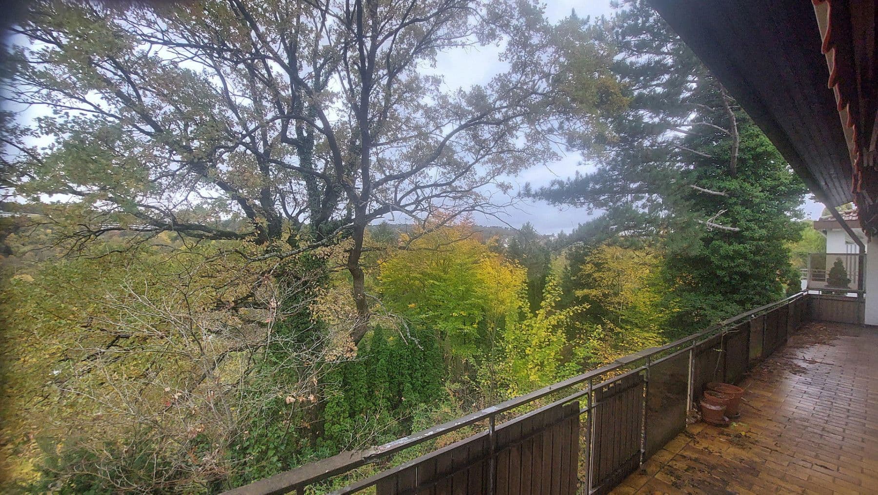 Predaj domu 378 m², pozemek 1.537 m², Engelfriedshalde 45, Tübingen, Bádensko-Wurttembersko Predaj domu 378 m², pozemek 1.537 m², Engelfriedshalde 45, Tübingen, Bádensko-Wurttembersko