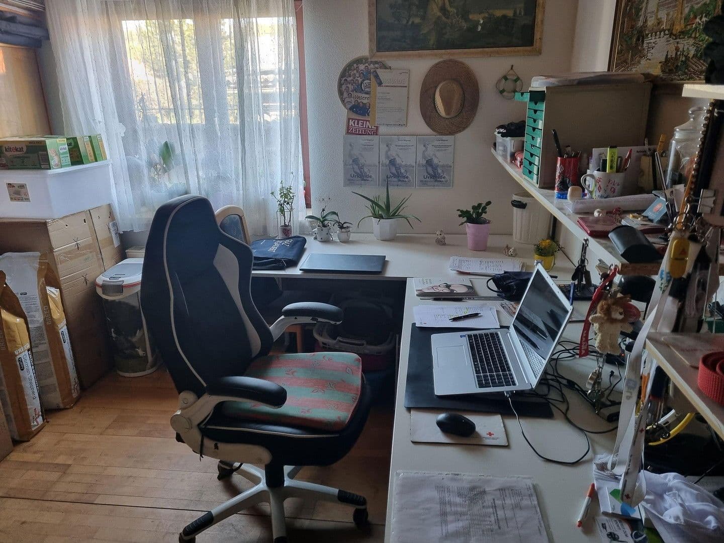 Predaj domu 300 m², pozemek 1.350 m², Wildon, Štajersko Predaj domu 300 m², pozemek 1.350 m², Wildon, Štajersko