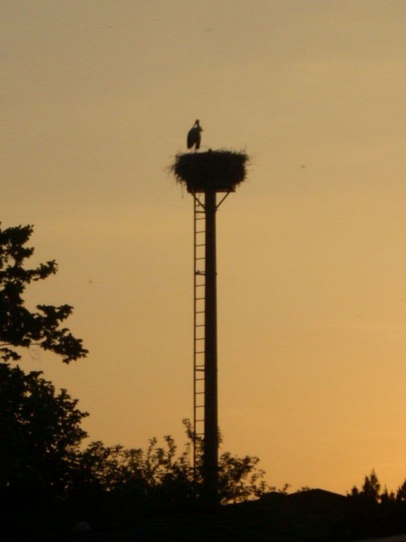 Prenájom bytu 3-izbový 73 m², Strasse am Uckersee 13, Nordwestuckermark, Brandenbursko Prenájom bytu 3-izbový 73 m², Strasse am Uckersee 13, Nordwestuckermark, Brandenbursko