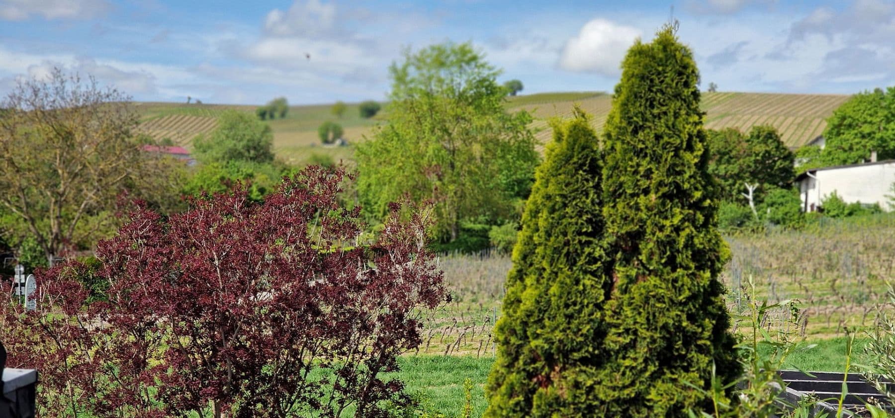 Prenájom bytu 2-izbový 52 m², Bodenheim, Porýnie-Falcko Prenájom bytu 2-izbový 52 m², Bodenheim, Porýnie-Falcko