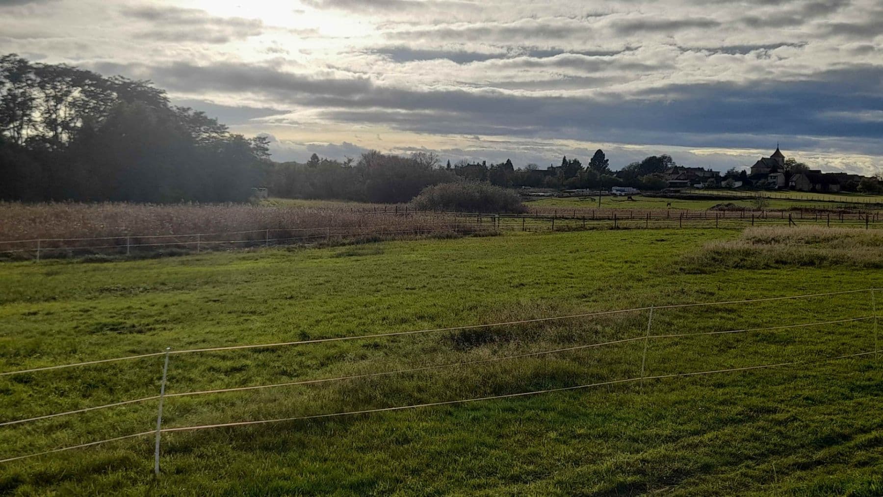 Predaj pozemku 1.500 m², Čachovice, Středočeský kraj Predaj pozemku 1.500 m², Čachovice, Středočeský kraj