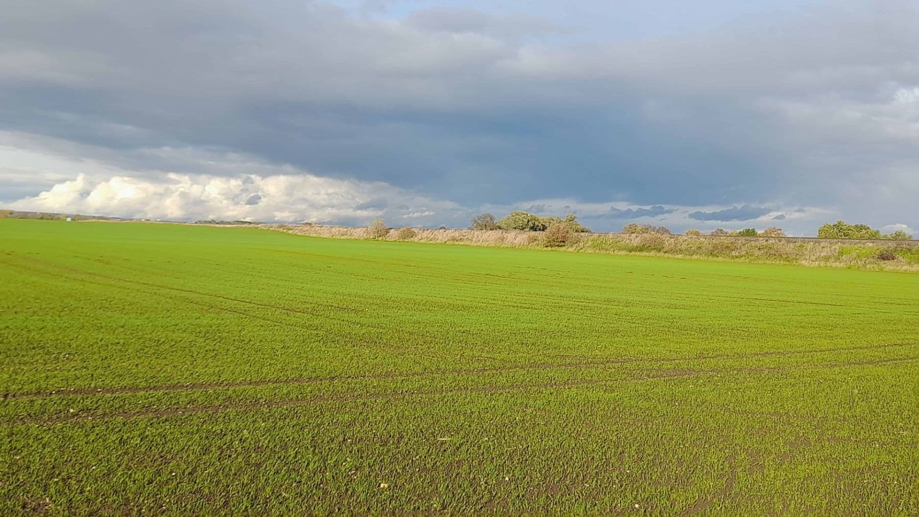 Predaj pozemku 1.500 m², Čachovice, Středočeský kraj Predaj pozemku 1.500 m², Čachovice, Středočeský kraj